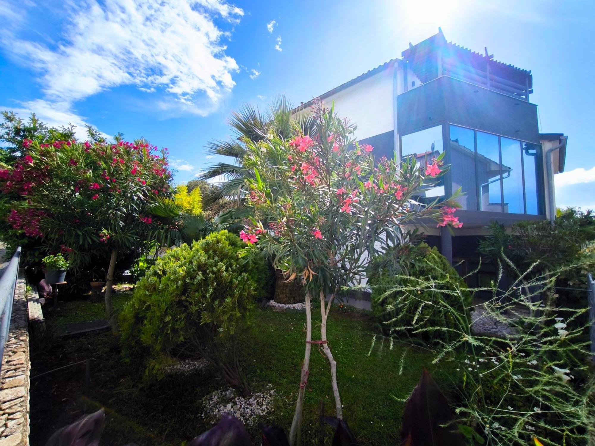 Apartmani Andrea Pula Exterior foto