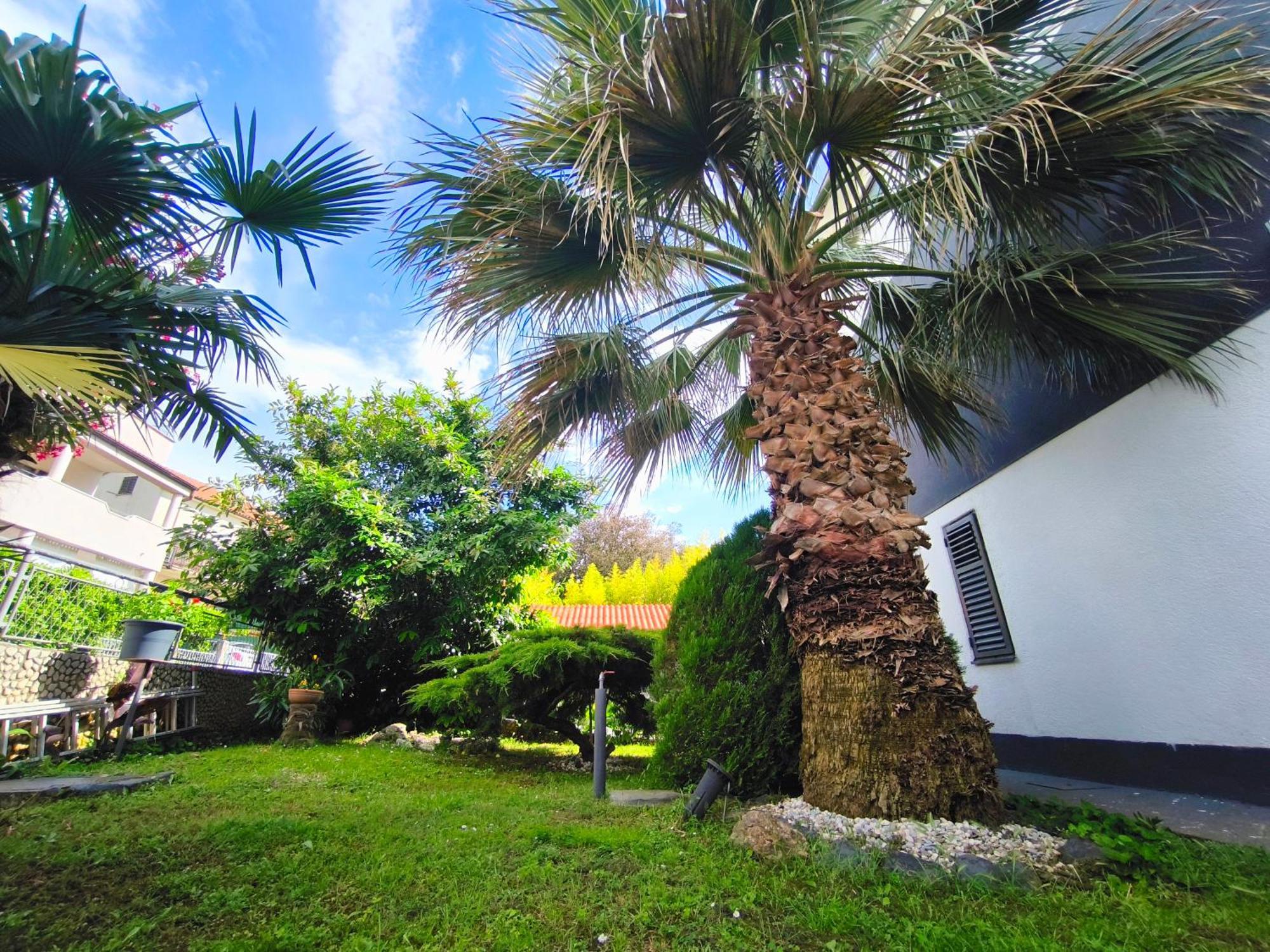 Apartmani Andrea Pula Exterior foto